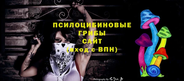 хмурый Михайлов