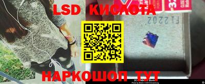 прущие крисы Абакан
