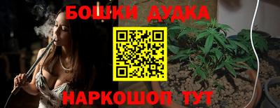 шишки Заводоуковск