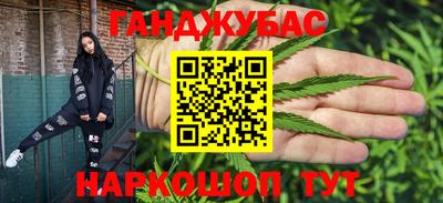 шишки Заводоуковск