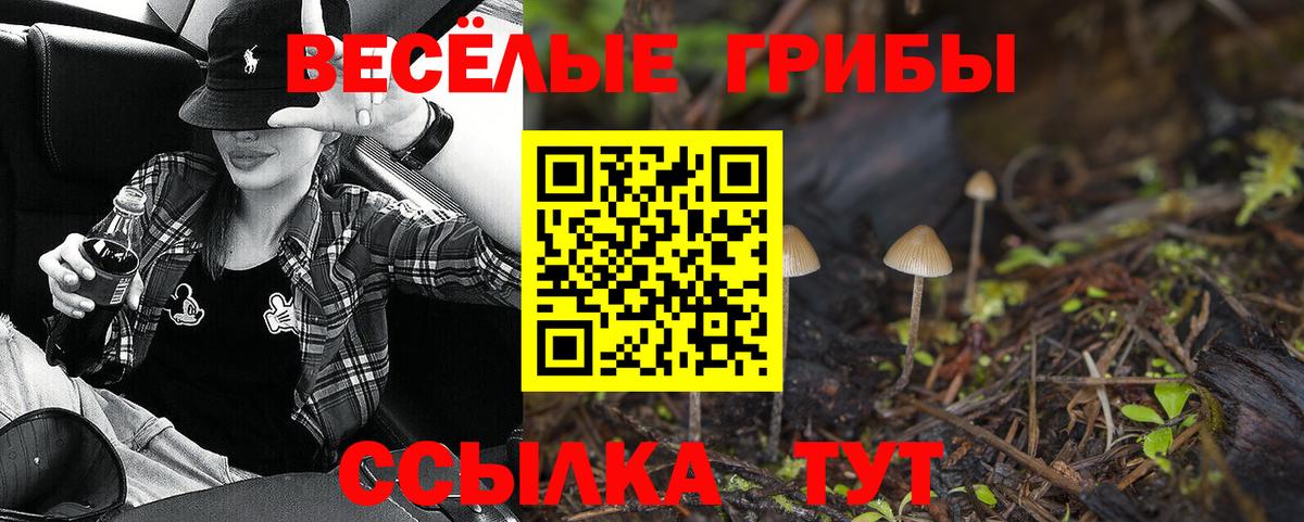 продажа наркотиков  Галлюциногенные грибы мухоморы  Вход с VPN  Санкт-Петербург 