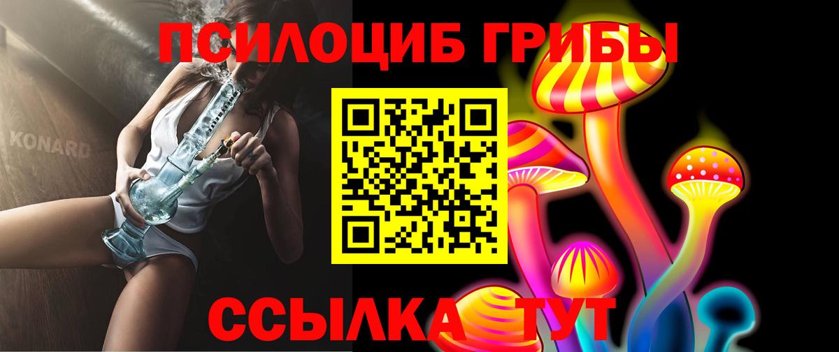 Псилоцибиновые грибы мухоморы  Санкт-Петербург 