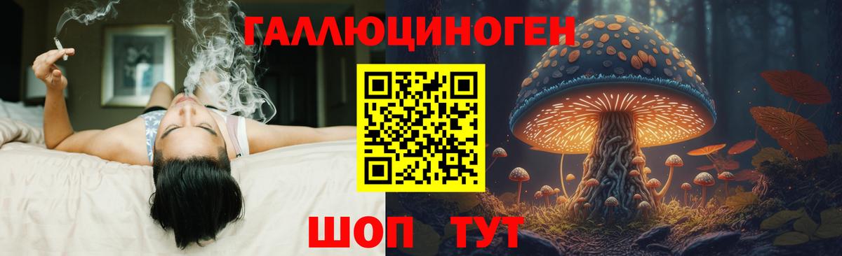 Псилоцибиновые грибы мухоморы Санкт-Петербург