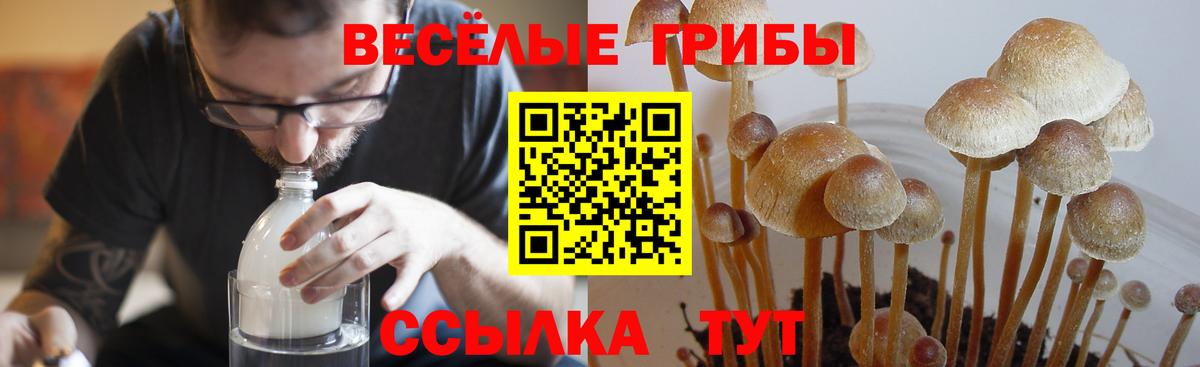 Марки ЛСД  Конопля  КОКАИН  Санкт-Петербург  Вход с VPN  Мяу-Мяу  Альфа-ПВП  NBOMe  Ляпка 