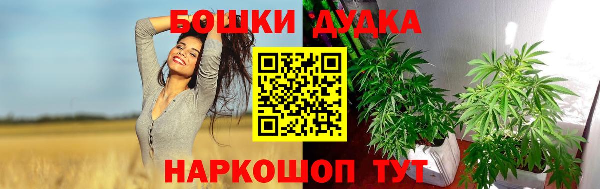 Санкт-Петербург  МАРИХУАНА AK-47  Бошки марихуана сатива  МАРИХУАНА Bruce Banner  Вход с VPN 